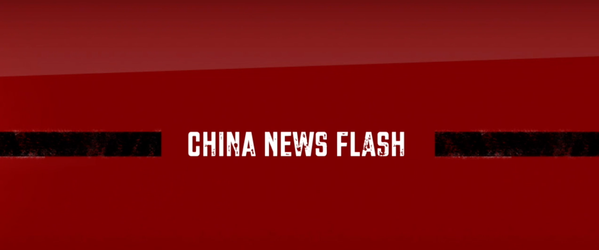 Webinar: China News Flash - EN/CN Bilingual event 中英双语活动