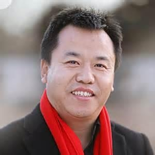 Jinyan Zhao (Legal Representative and Executive President at Velux)