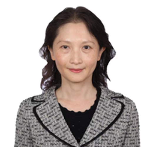 Counsellor Kang Wen (Economic and Commercial Counsellor at Chinese Embassy in Sweden)