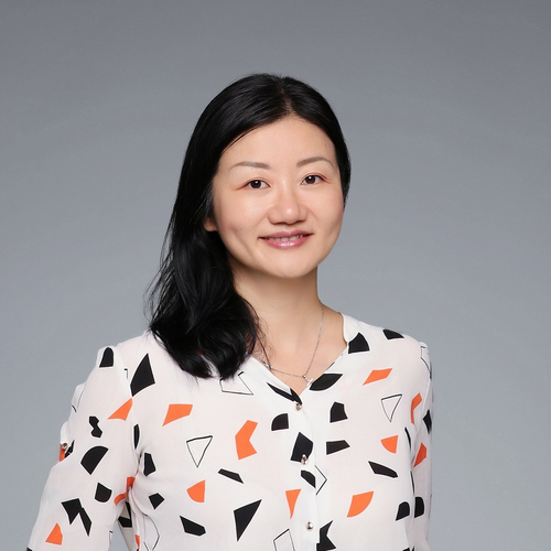 Siye Zhu (Senior Consultant at Nordic Friend)