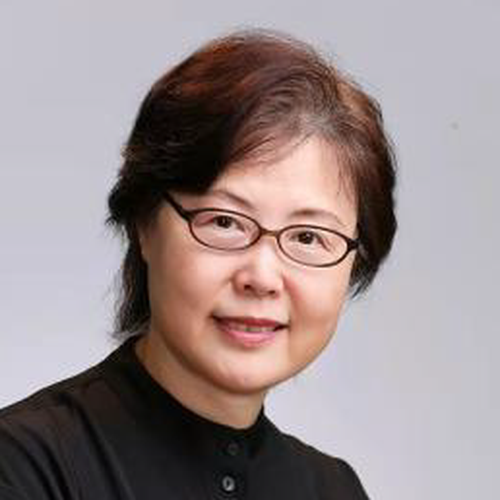 Qi Guo (Director of the Hydrogen Energy Professional Committee; Leader of the Preparatory Group for the Sustainable Fuel Professional Committee,  of the China Productivity Promotion Center Association)